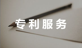 專利服務(wù)